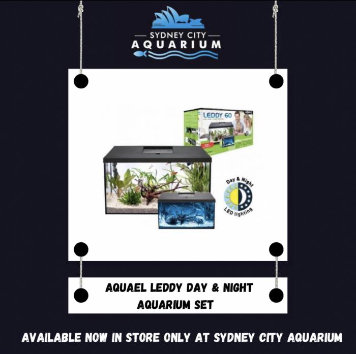 Aquael Leddy Day & Night sets at Sydney City Aquarium!