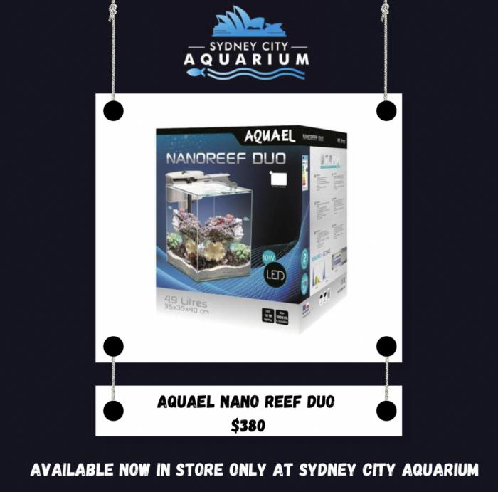 Aquael Nano Reef Set Available At Sydney City Aquarium!