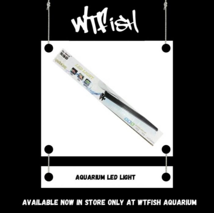 Aquarium LED Lights Available At WTFISH!