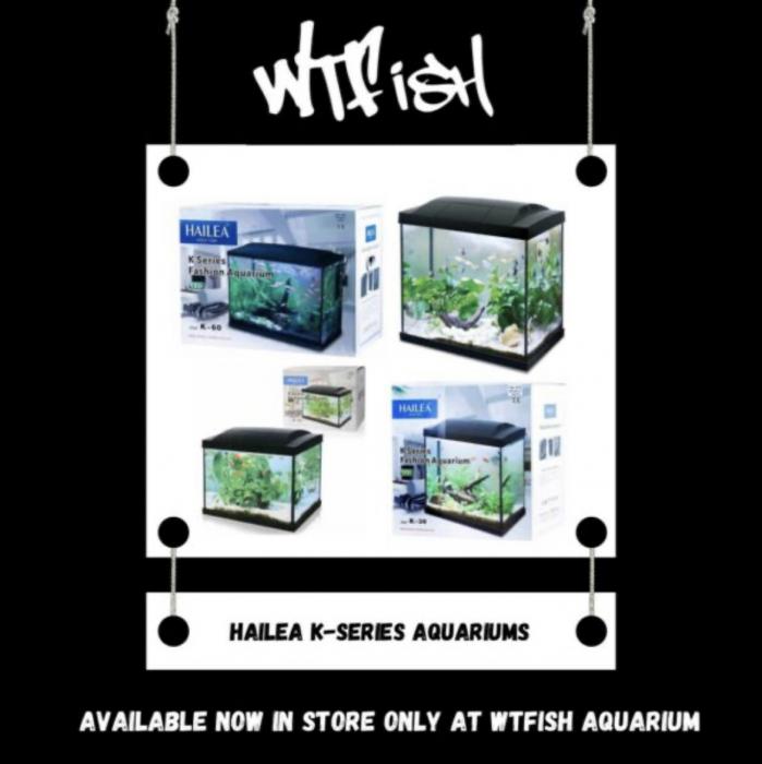 Hailea K Series Aquariums At WTFISH!
