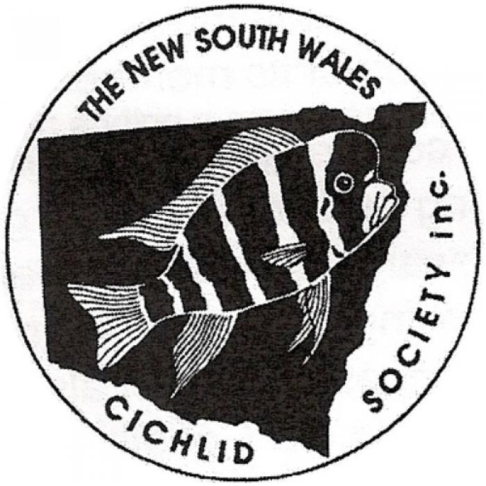 Meeting & Mini Auction - NSW Cichlid Society