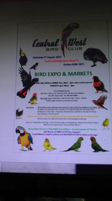 CENTRAL WEST BIRD EXPO 6th August 2022