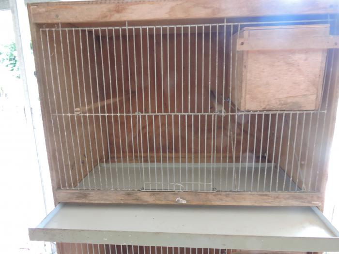 Budgie cage  - with nest box and perch - used but clean