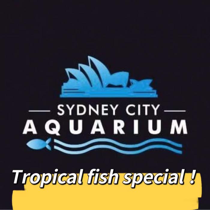 Tropical fish special at Sydney CBD